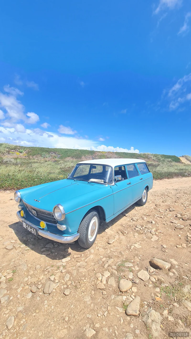 1961 Peugeot 404 Break Familiale Luxe in Parede 4