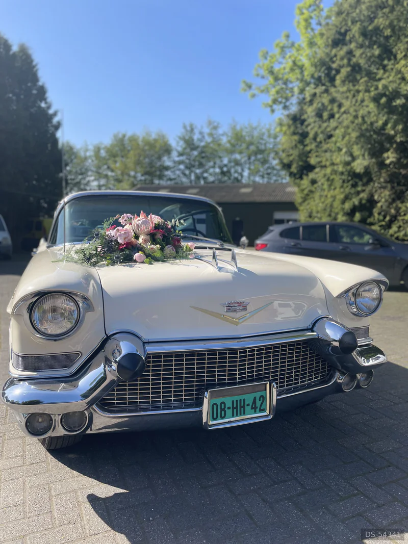 1957 Cadillac Fleetwood in Damwâld 2