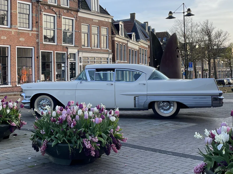 1957 Cadillac Fleetwood in Damwâld 3
