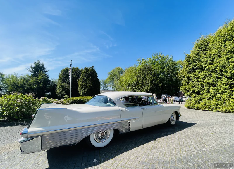 1957 Cadillac Fleetwood in Damwâld 4