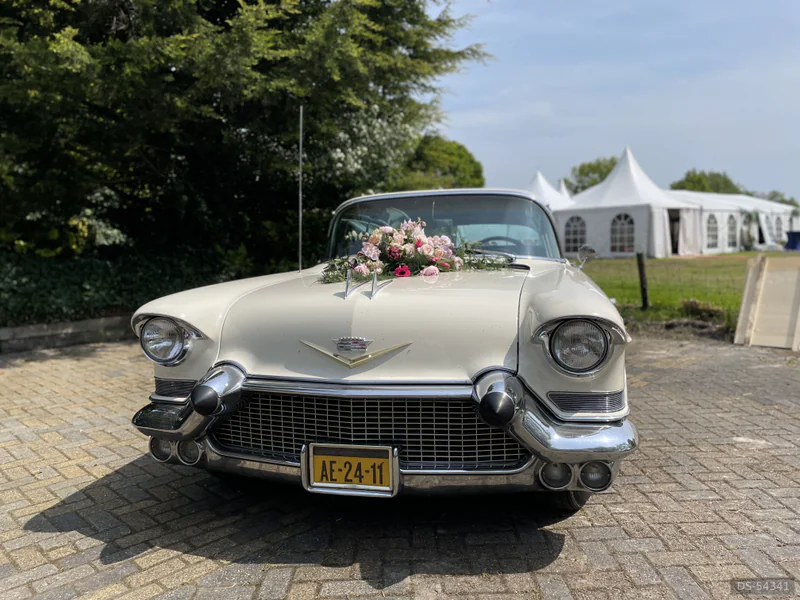 1957 Cadillac Fleetwood in Damwâld 6