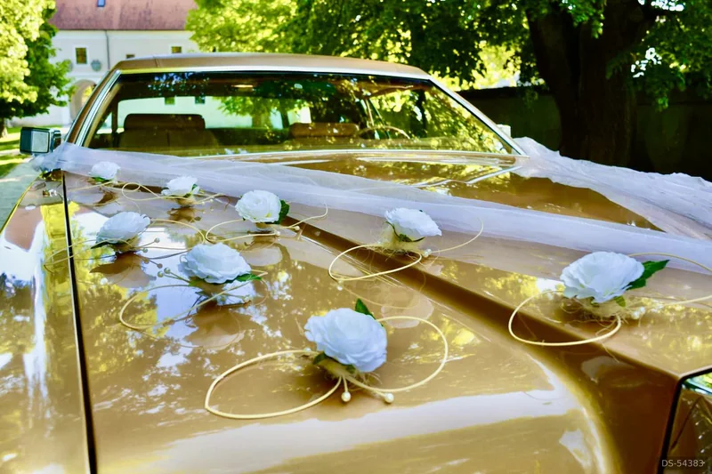1974 Lincoln Continental Mark Iv in Trnava 5
