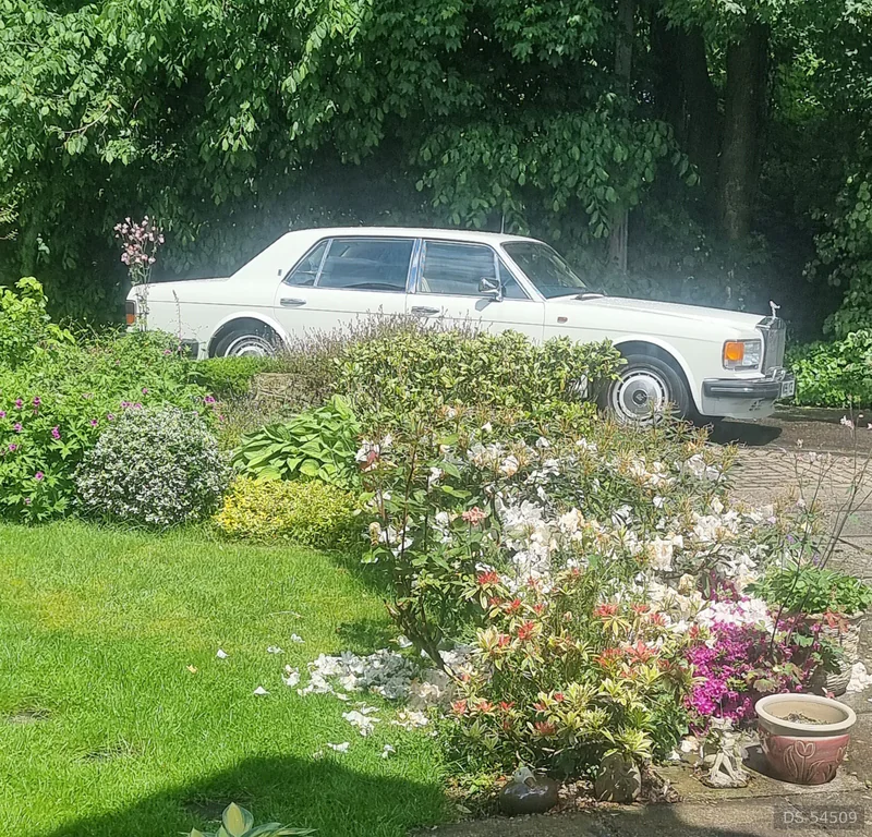 1994 Rolls-Royce Silver Spur III in Cirencester 5