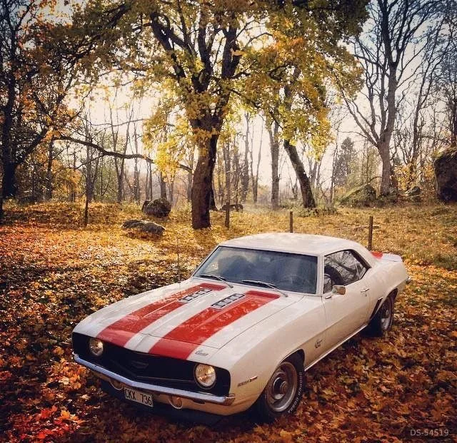 1969 Chevrolet Camaro Ss in Stockholm 3