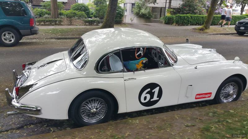 1961 Jaguar Xk 150 in Duncan 6