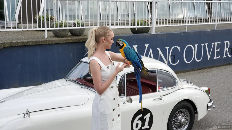 1961 Jaguar Xk 150 in Duncan 2
