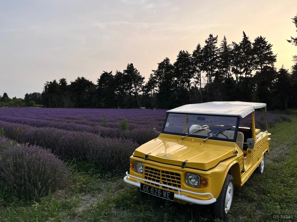 1980 Citroen Mehari