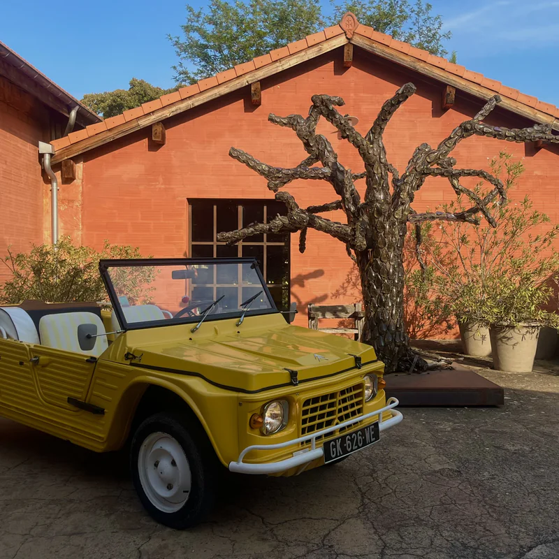 1980 Citroen Mehari in Carpentras 3