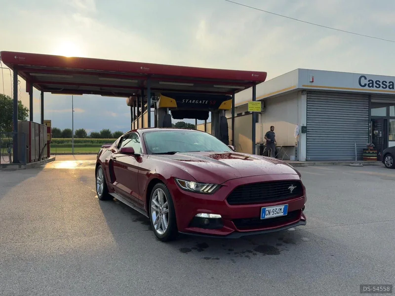 2020 Ford Mustang in San Pietro In Gu 3