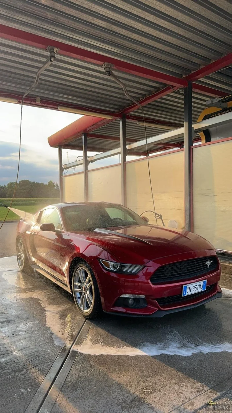 2020 Ford Mustang in San Pietro In Gu 6