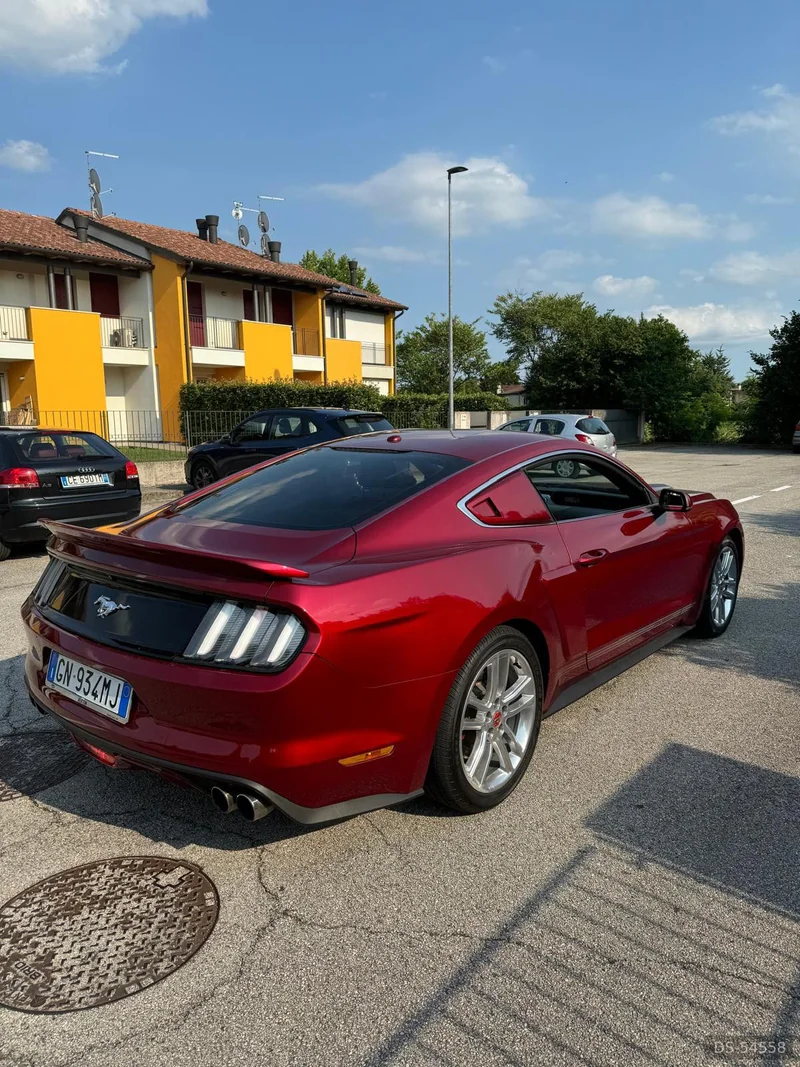 2020 Ford Mustang in San Pietro In Gu 7