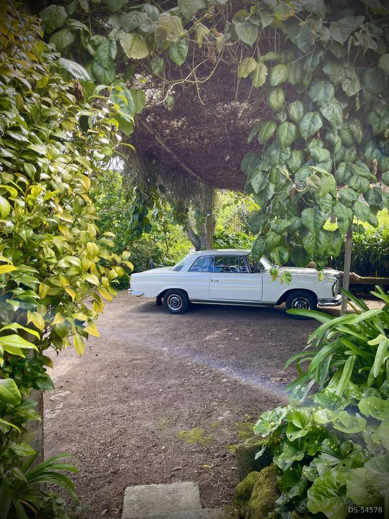 1965 Mercedes-Benz 220 Se Coupe in Ponta Delgada 5
