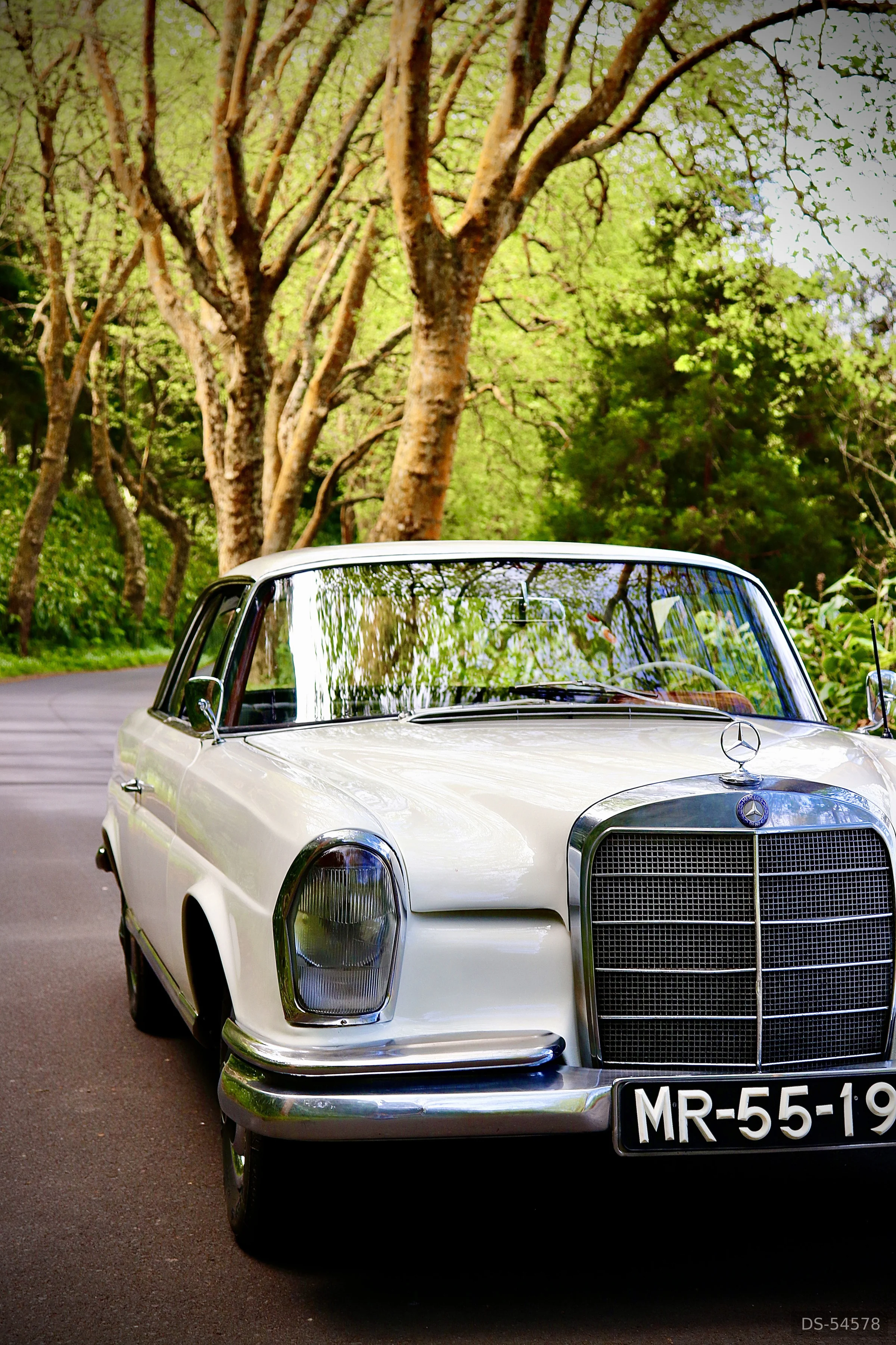 1965 Mercedes-Benz 220 Se Coupe