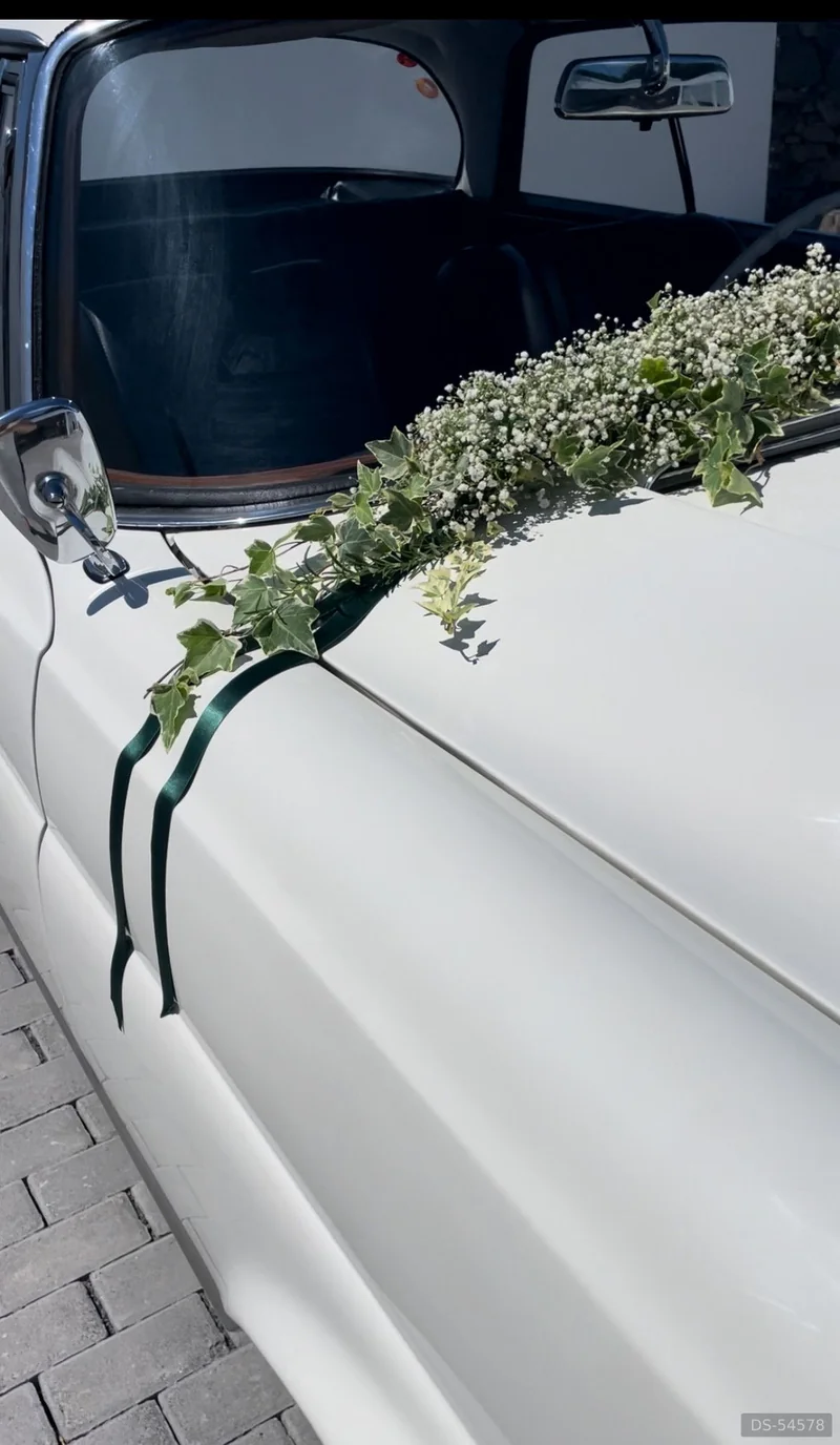 1965 Mercedes-Benz 220 Se Coupe in Ponta Delgada 4