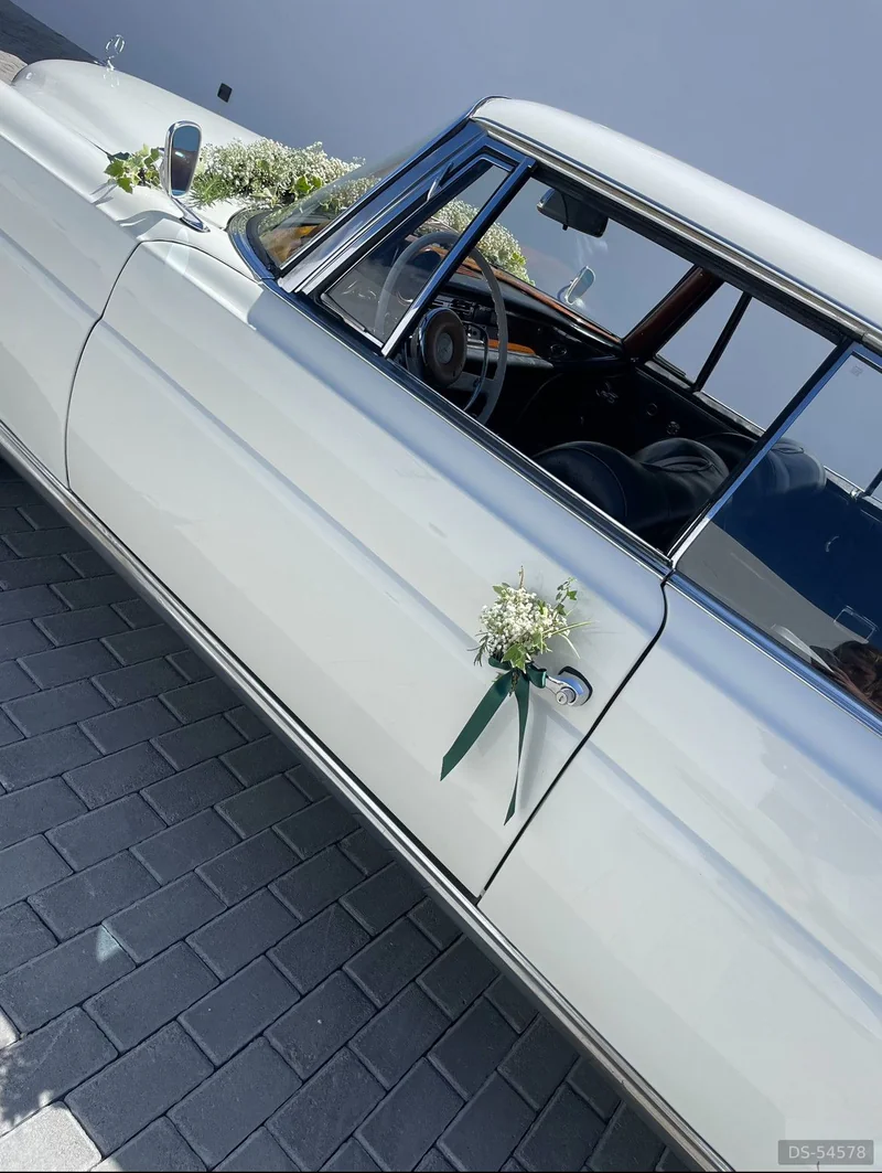 1965 Mercedes-Benz 220 Se Coupe in Ponta Delgada 3