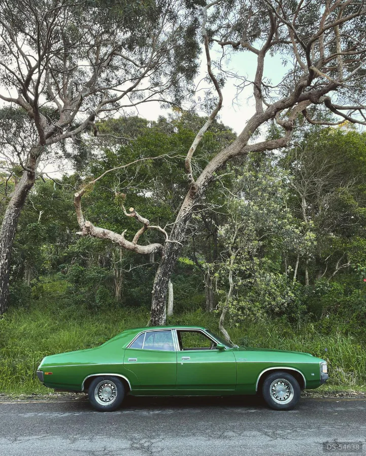 1973 Ford Fairlane 500