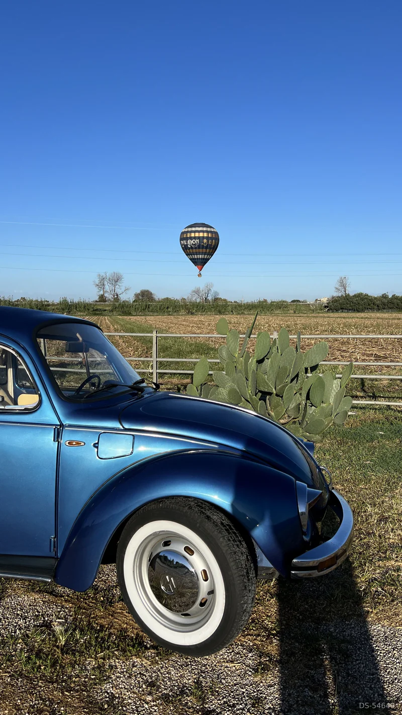 1976 Volkswagen Maggiolone in Capaccio Paestum 3