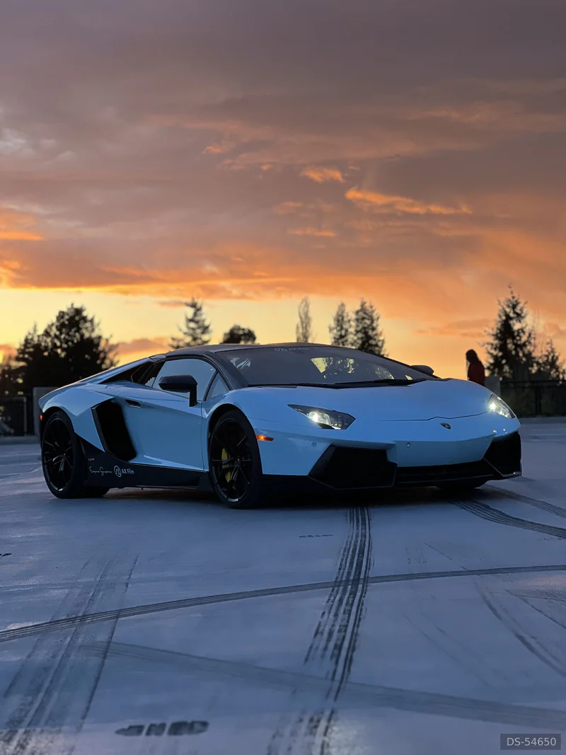 2015 Lamborghini Aventador Roadster in Vancouver 2