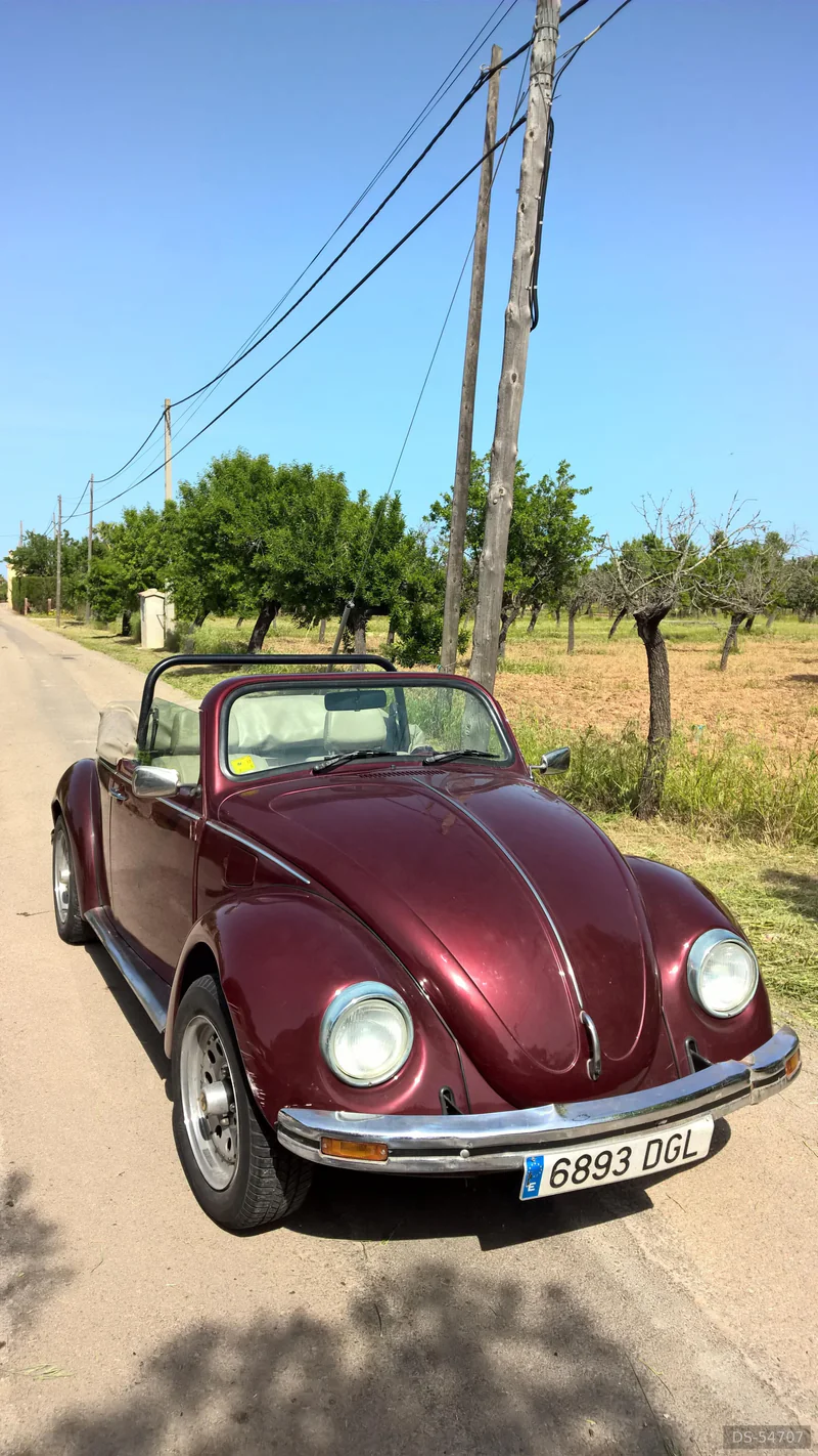 1984 Volkswagen Escarabajo in Palma