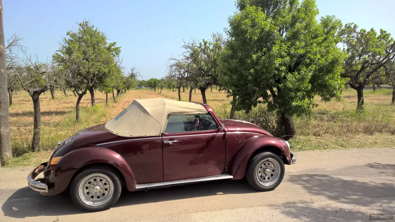 1984 Volkswagen Escarabajo in Palma 3