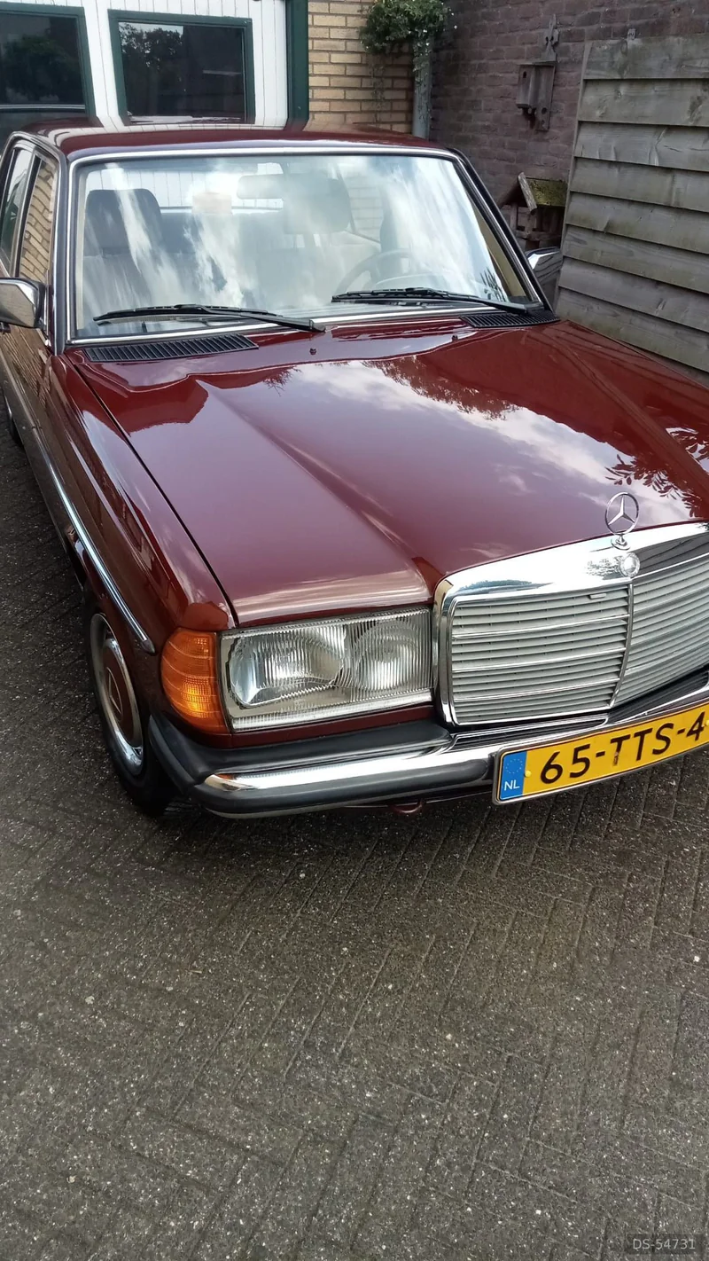 1984 Mercedes-Benz W123 in Maastricht 7