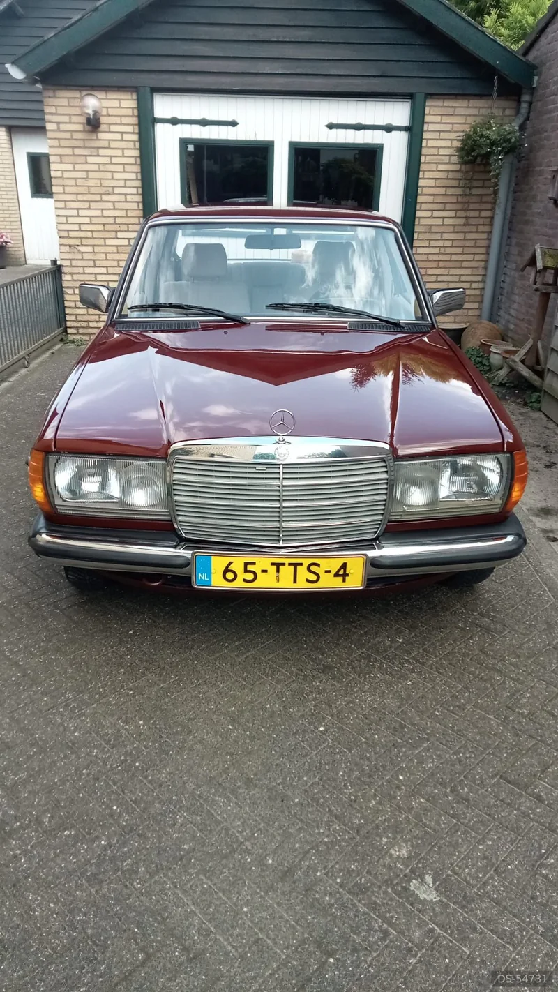 1984 Mercedes-Benz W123 in Maastricht 6