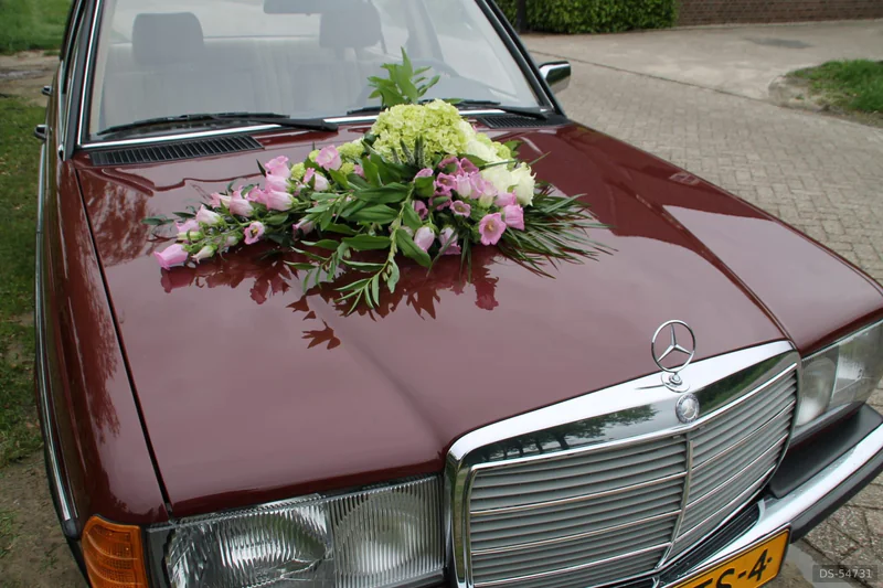 1984 Mercedes-Benz W123 in Maastricht 8