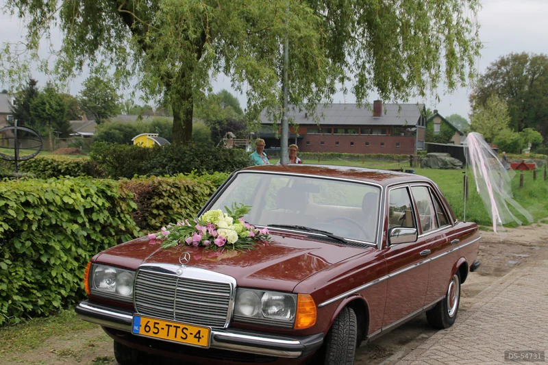1984 Mercedes-Benz W123 in Maastricht 2