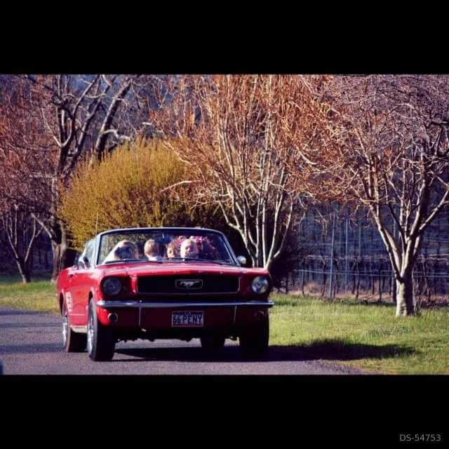 1966 Ford Mustang Convertible