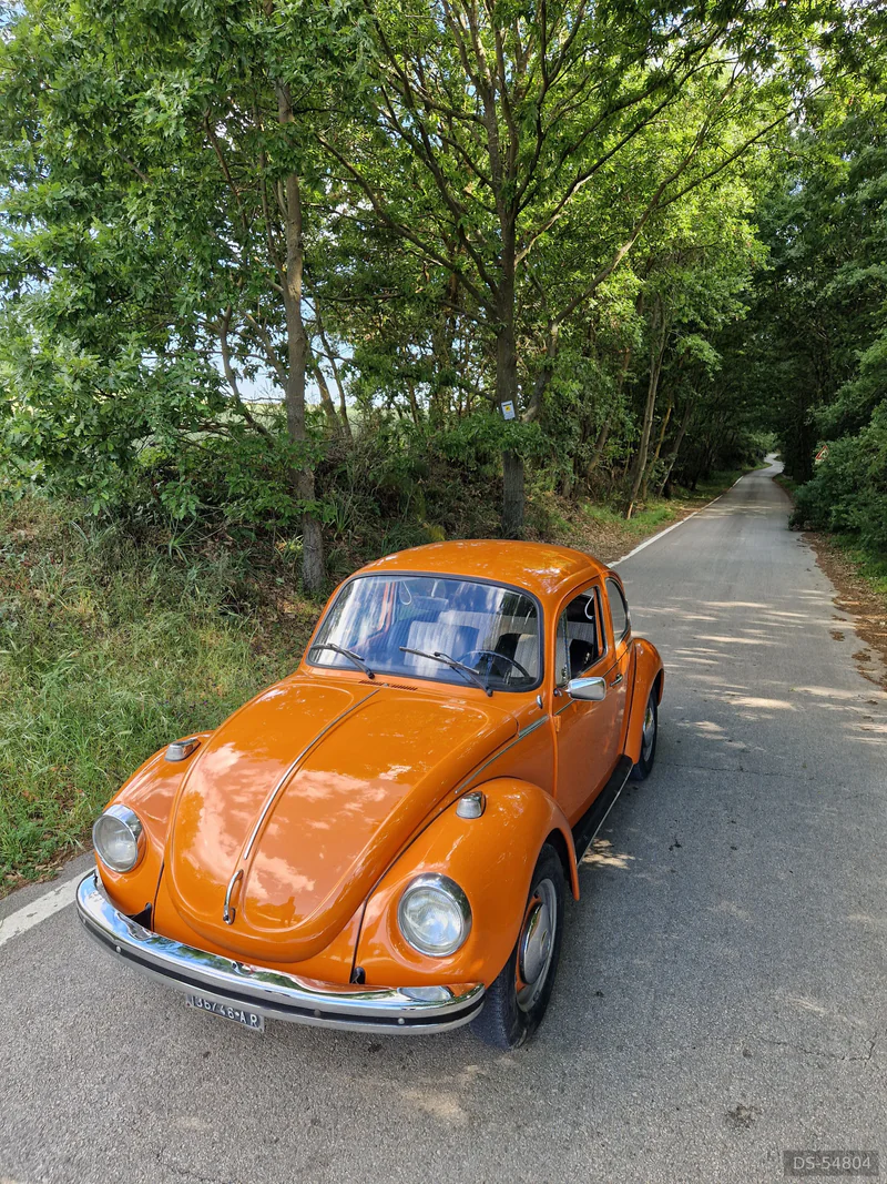 1973 Volkswagen Maggiolone in Altamura 5