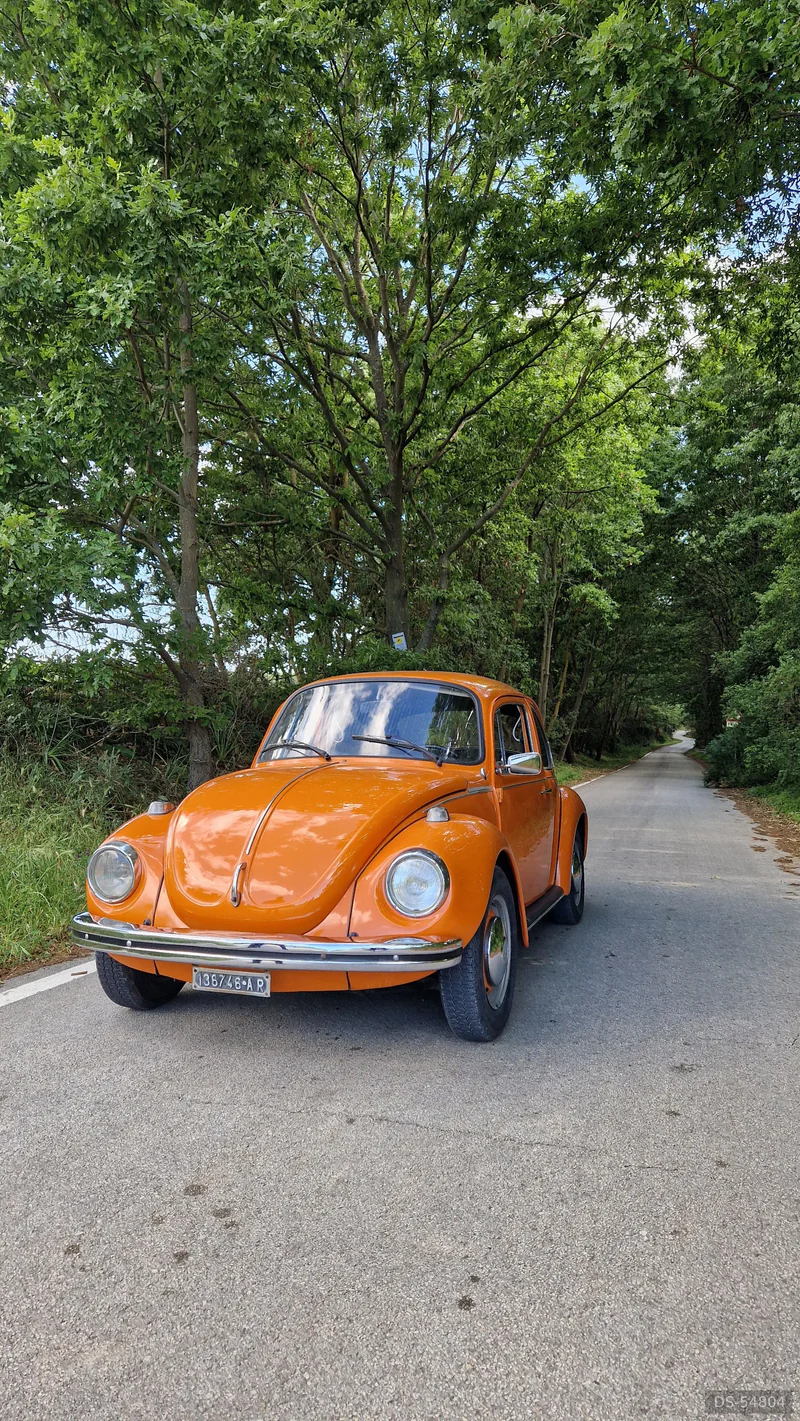 1973 Volkswagen Maggiolone in Altamura 6
