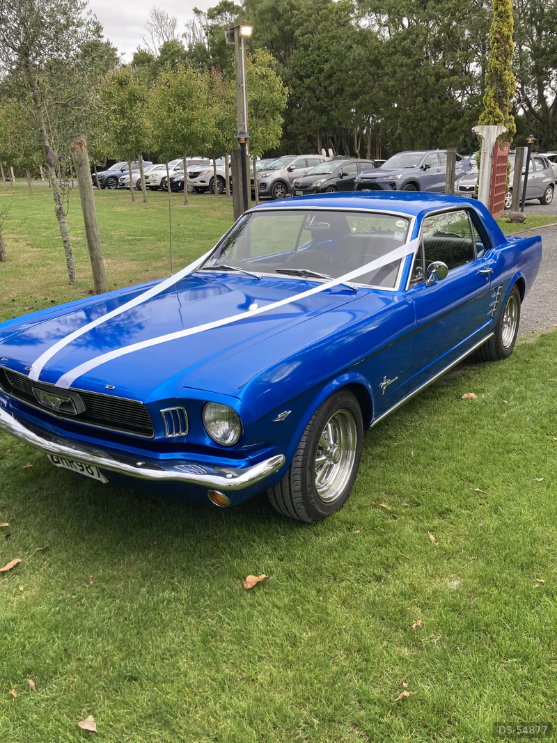 1966 Ford Mustang in Auckland