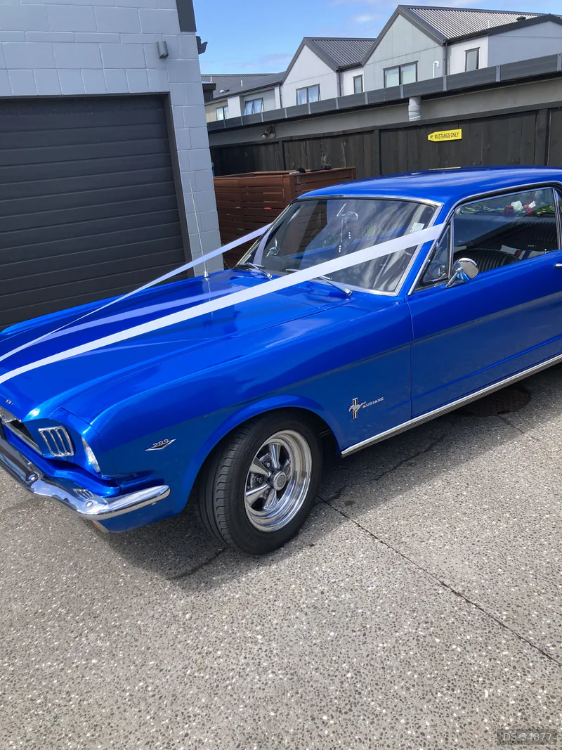 1966 Ford Mustang in Auckland 2