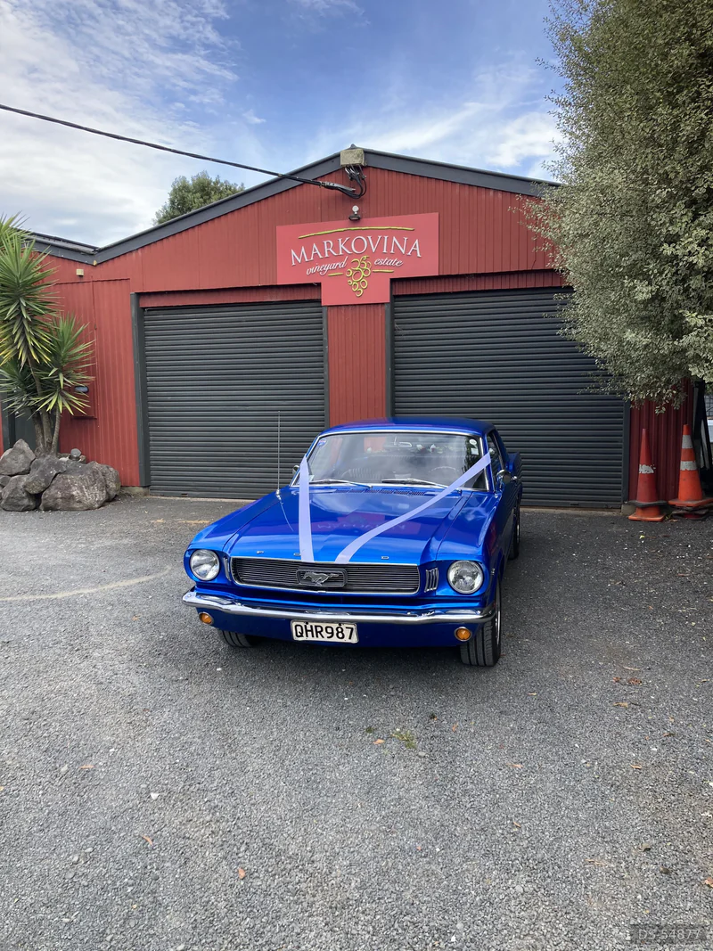 1966 Ford Mustang in Auckland 3