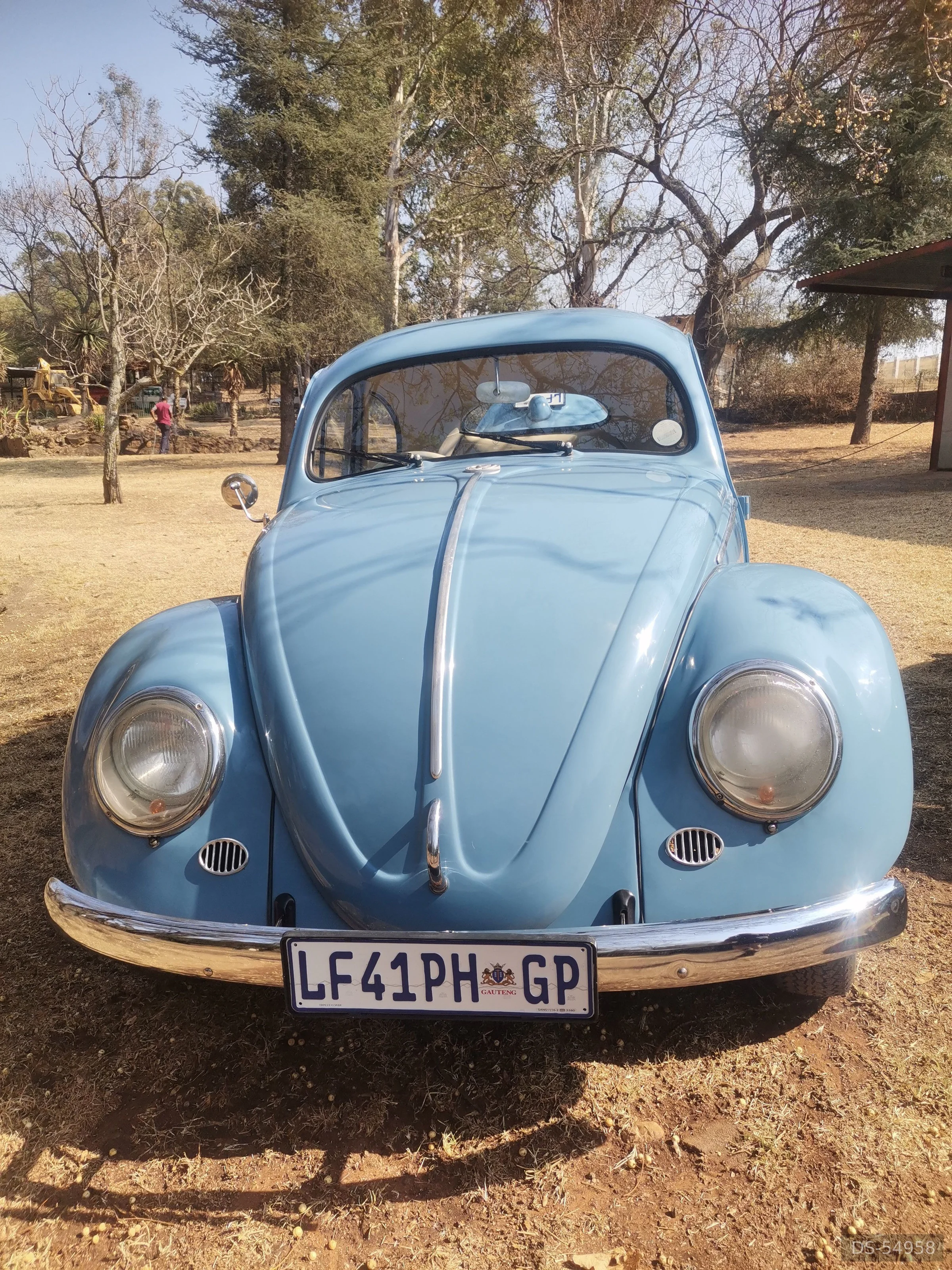 1956 Volkswagen Beetle