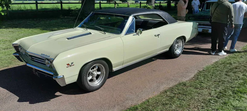1967 Chevrolet Chevelle in Clermont 2