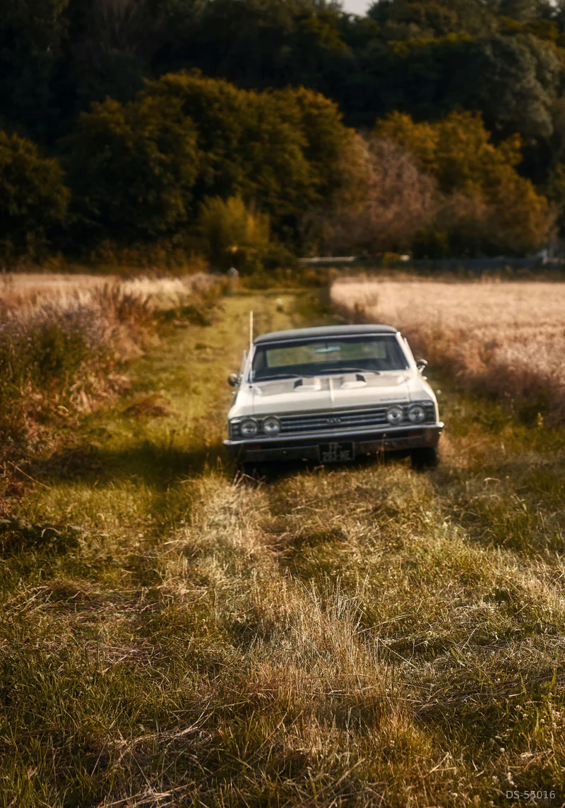 1967 Chevrolet Chevelle in Clermont 8