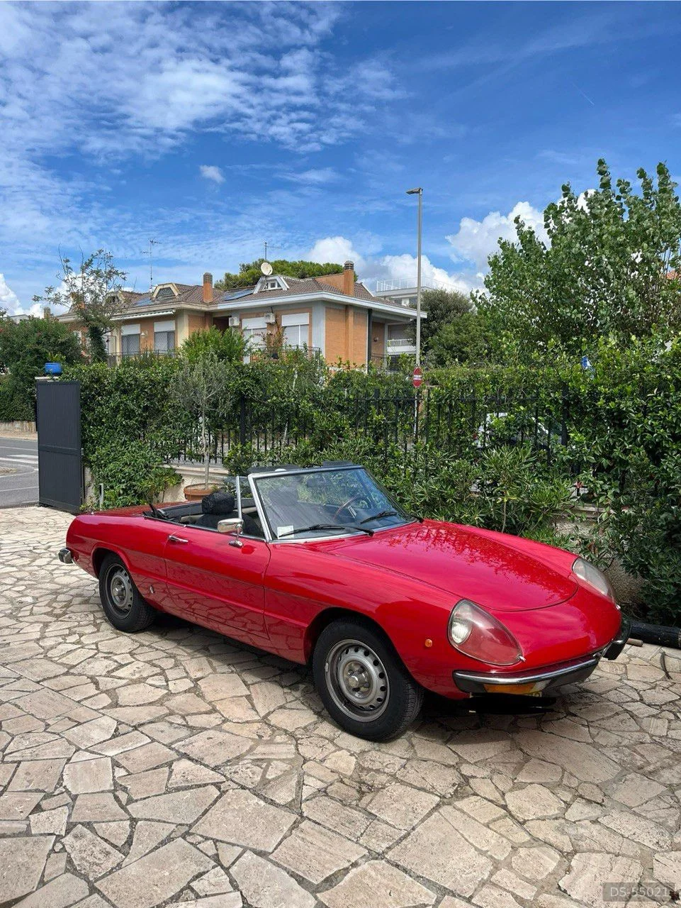 1976 Alfa Romeo Spider Pininfarina