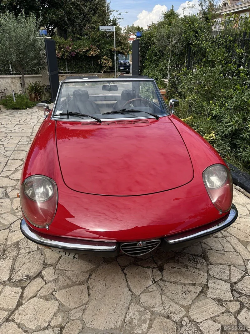 1976 Alfa Romeo Spider Pininfarina in Roma 3