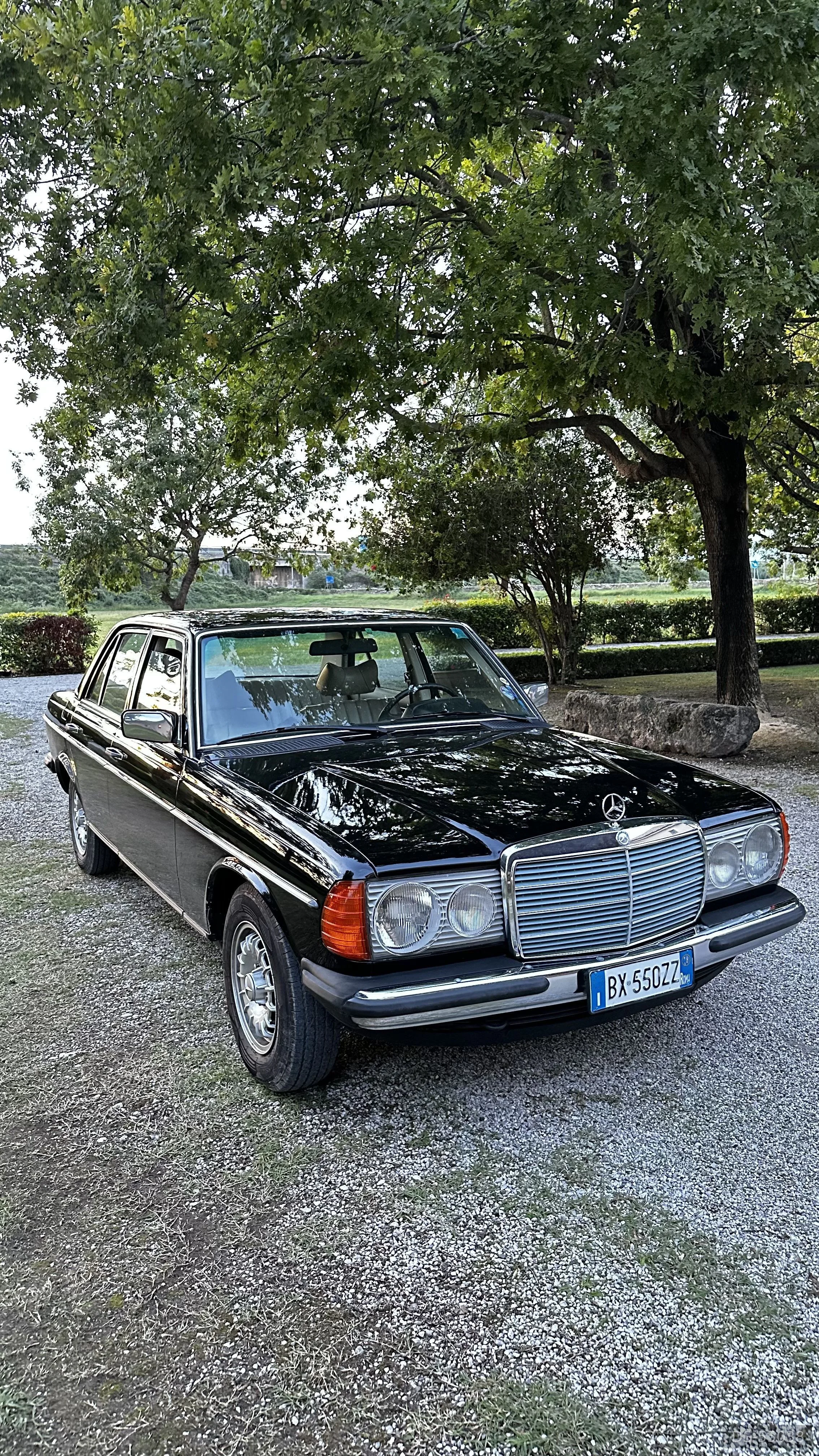 1978 Mercedes-Benz W123