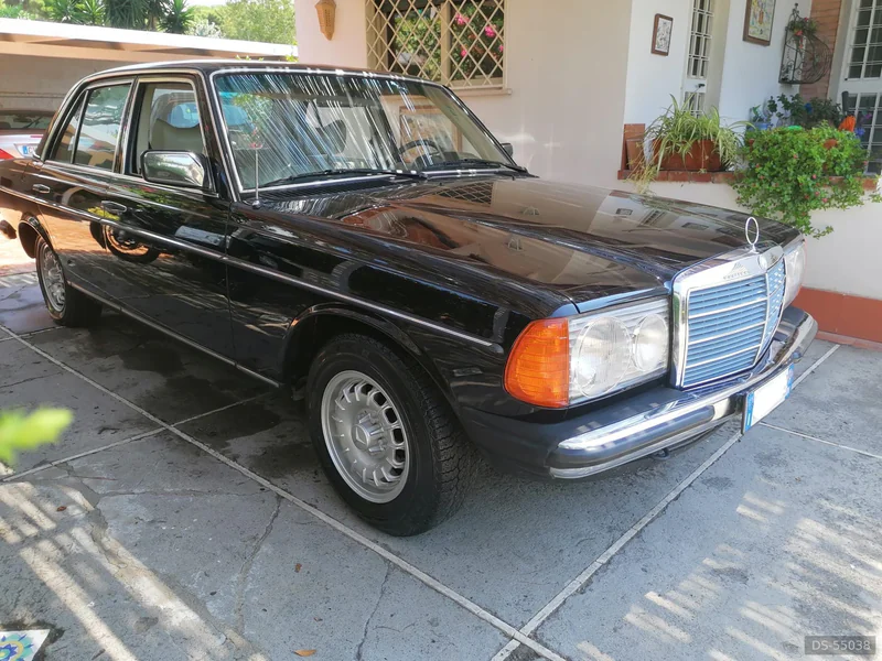 1978 Mercedes-Benz W123 in Capaccio Paestum 4