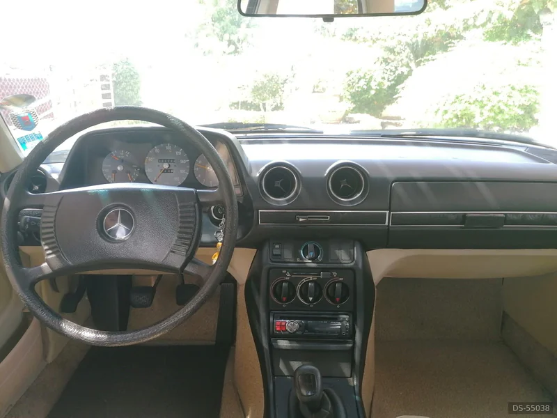 1978 Mercedes-Benz W123 in Capaccio Paestum 6