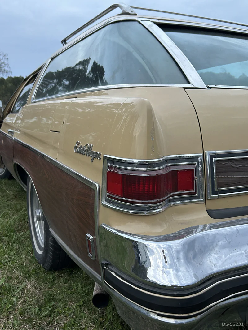 1973 Buick Estate Wagon in Stockholm 4