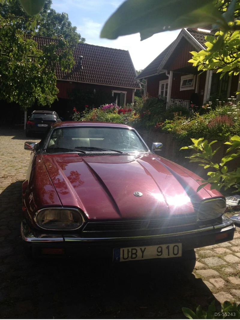 1985 Jaguar Xjs in Stockholm 4