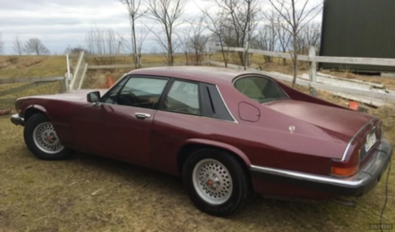 1985 Jaguar Xjs in Stockholm 2