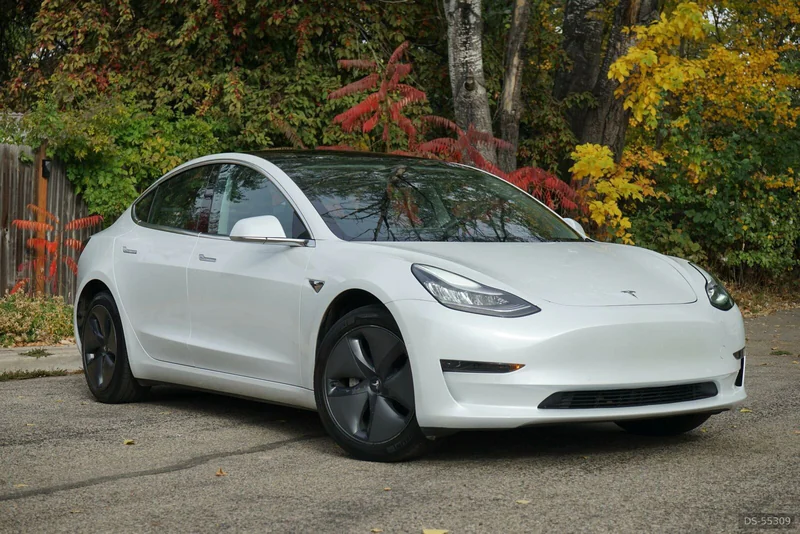 2020 Tesla M3 in Herisau, Appenzell Ausserrhoden 3