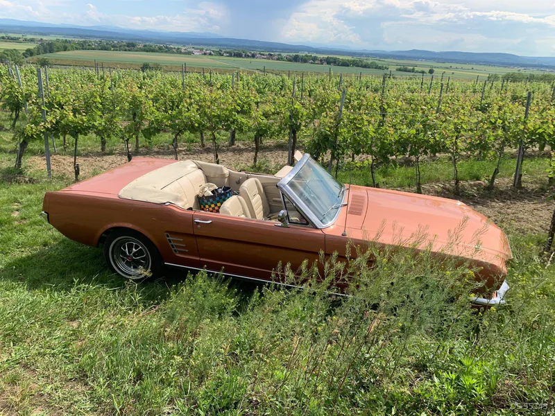1966 Ford Mustang Convertible in Eisenstadt 3