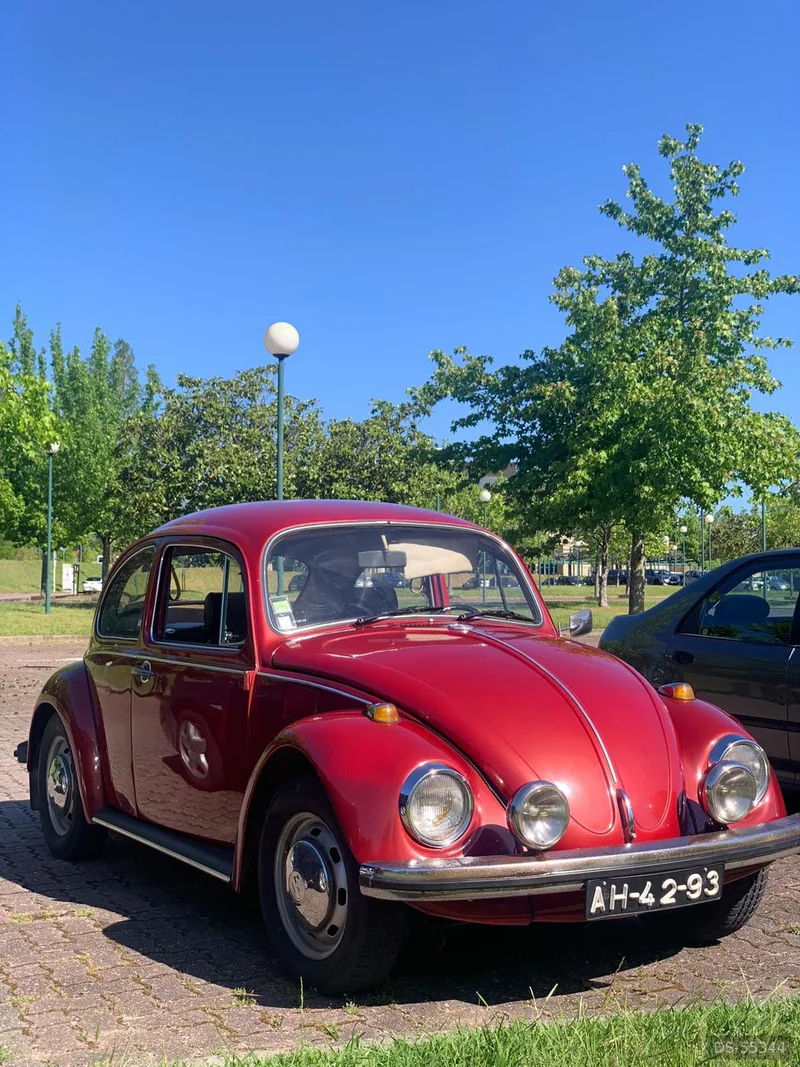 1969 Volkswagen Carocha in Gandara 1