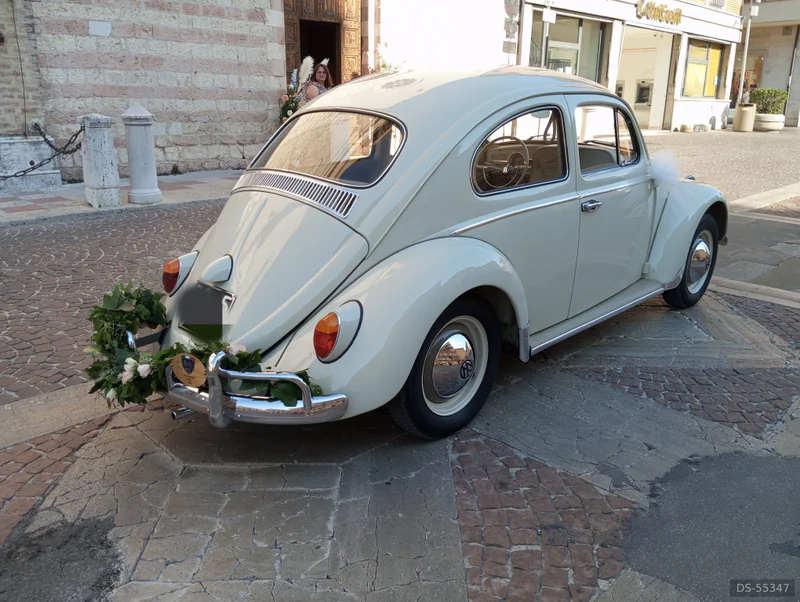 1962 Volkswagen Maggiolino in Perugia 4