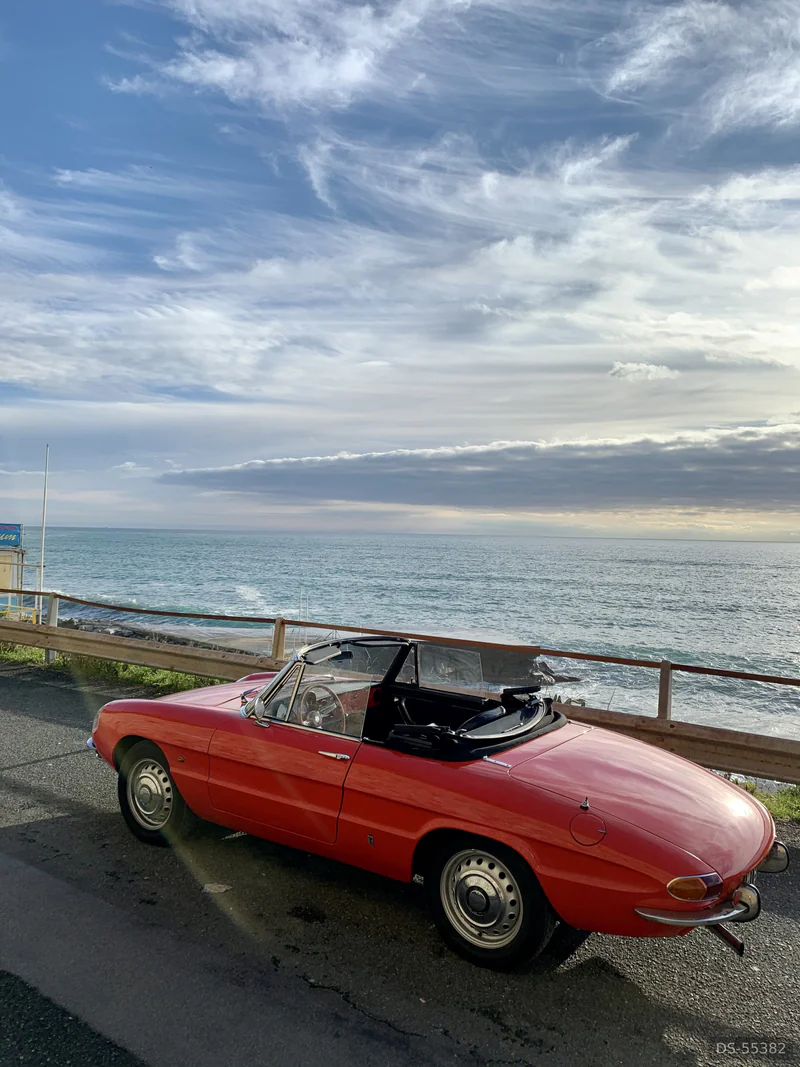 1966 Alfa Romeo Duetto Spider in Milano 3